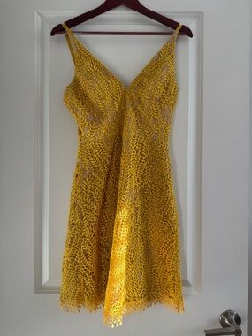 Brand New Dress the Population Summer Dress. Never Worn.